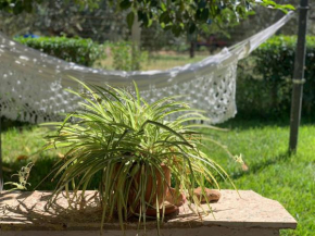 Cottage Dell' Ulivo Caltagirone